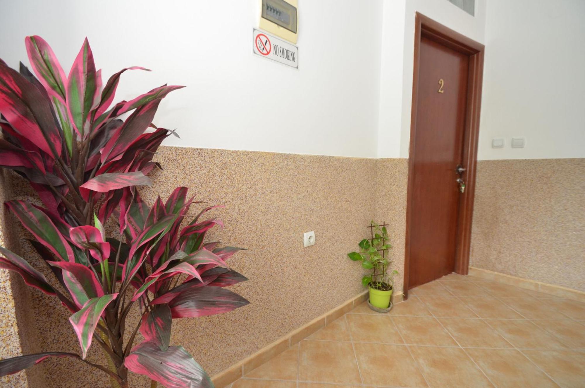 Apartments Mir I Dobro Kotor Eksteriør billede